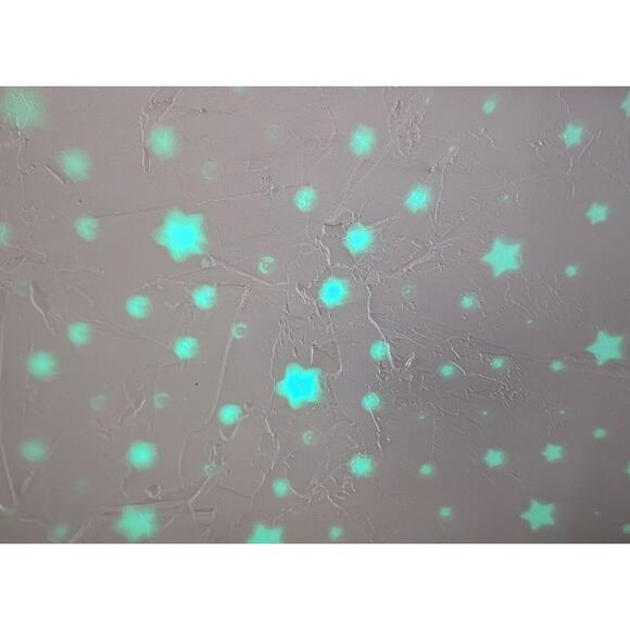 SHARPER IMAGE Star Projection DIGITAL CLOCK Nature Sounds Alarm Clock - Picture 6 of 8